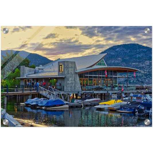 Acrylic Print - Hooded Merganser Sunset