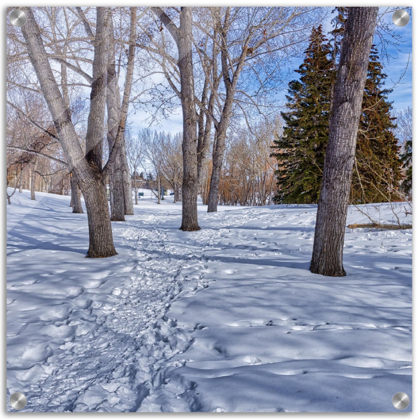 Acrylic Print - Confederation Park Winter HDR