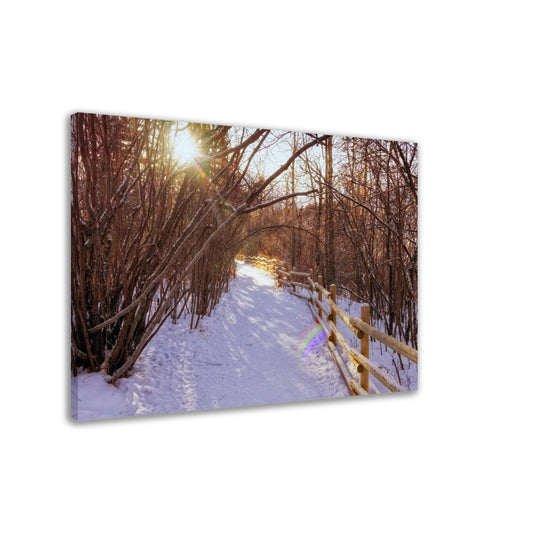 Canvas Print - Riverdale Park Forest Winter