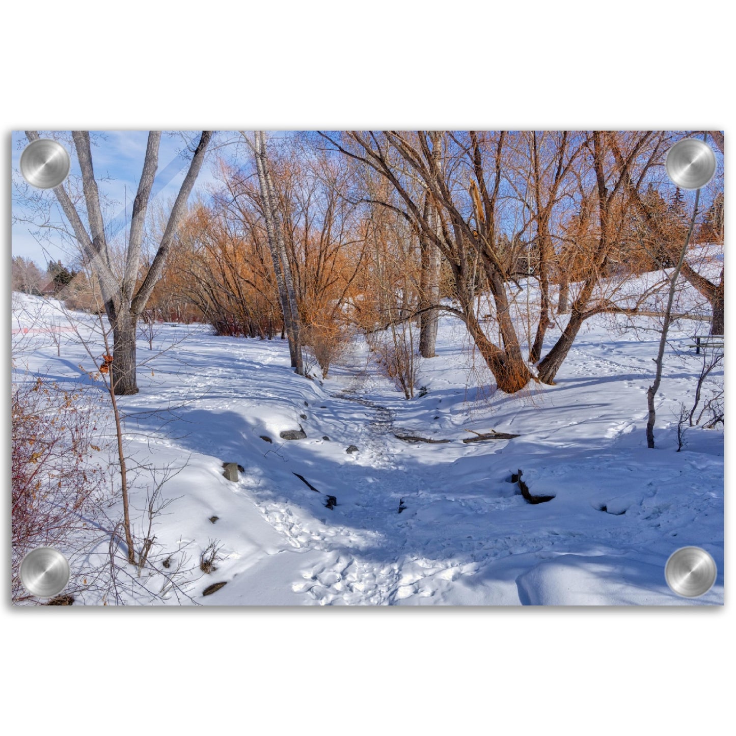 Acrylic Print - Confederation Creek Winter HDR