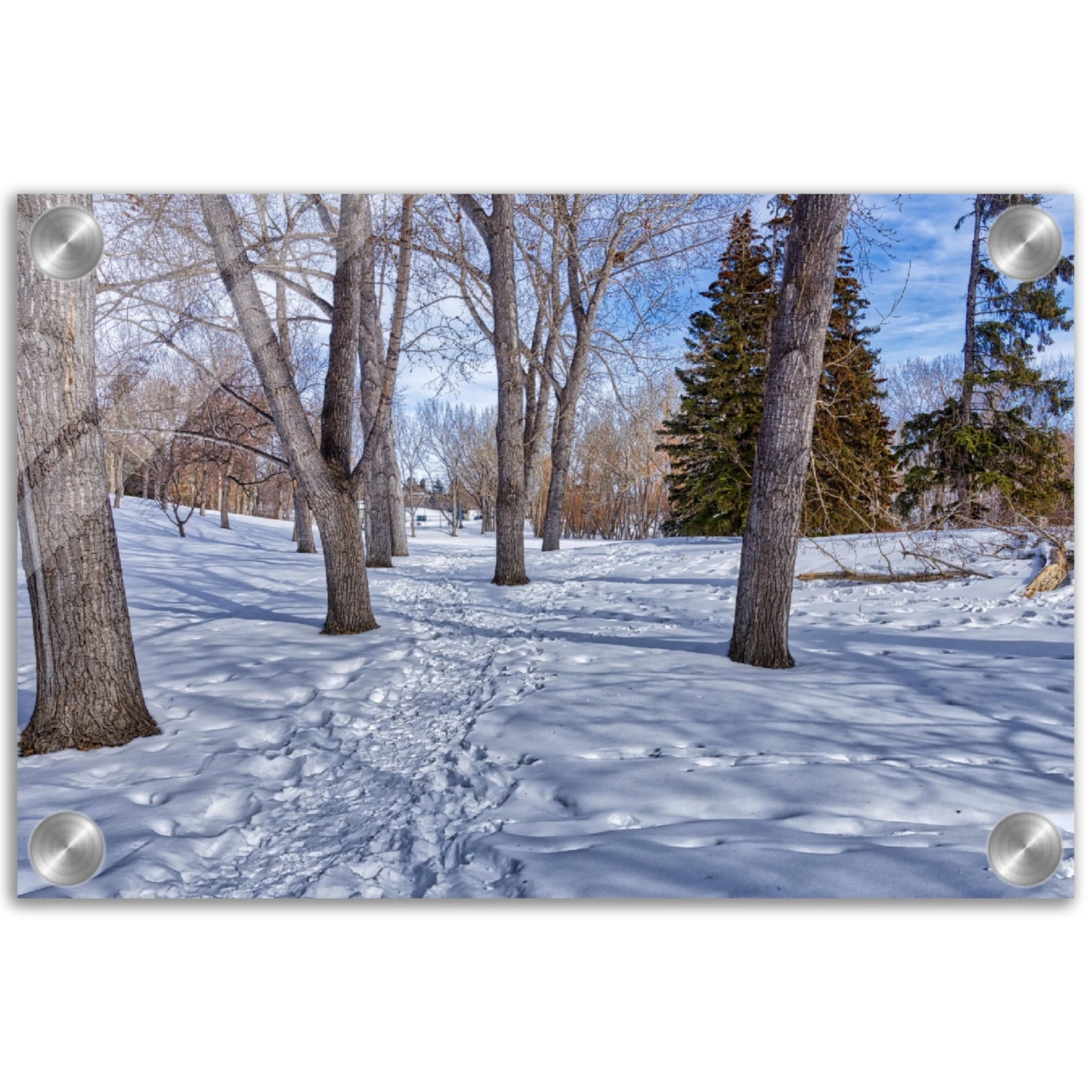 Acrylic Print - Confederation Park Winter HDR