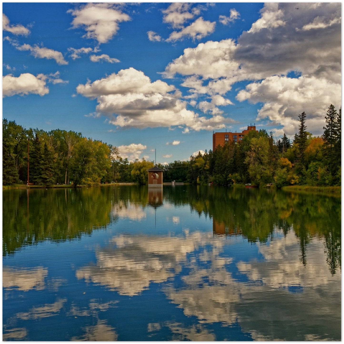 Wood Print - Bowness Park Lagoon Fall