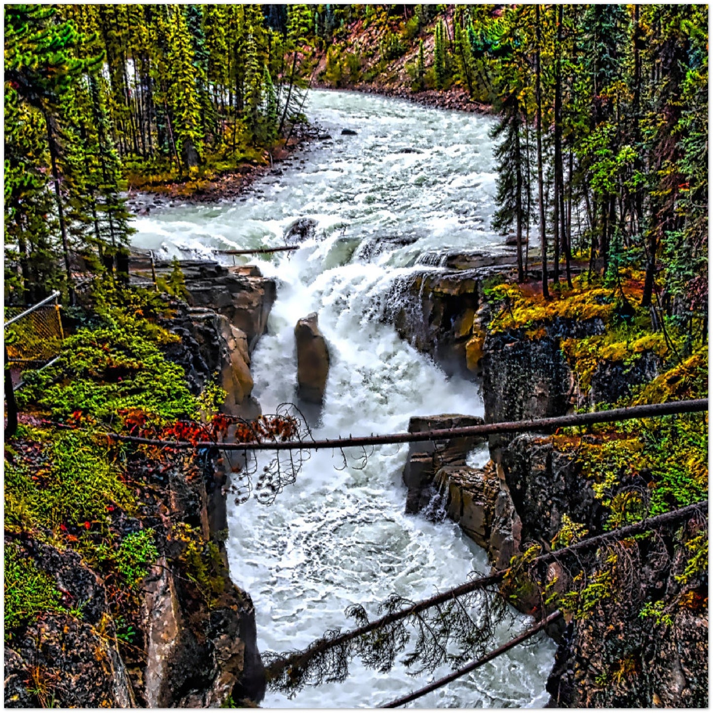 Premium Semi-Glossy Poster Print - Sunwapta Falls HDR