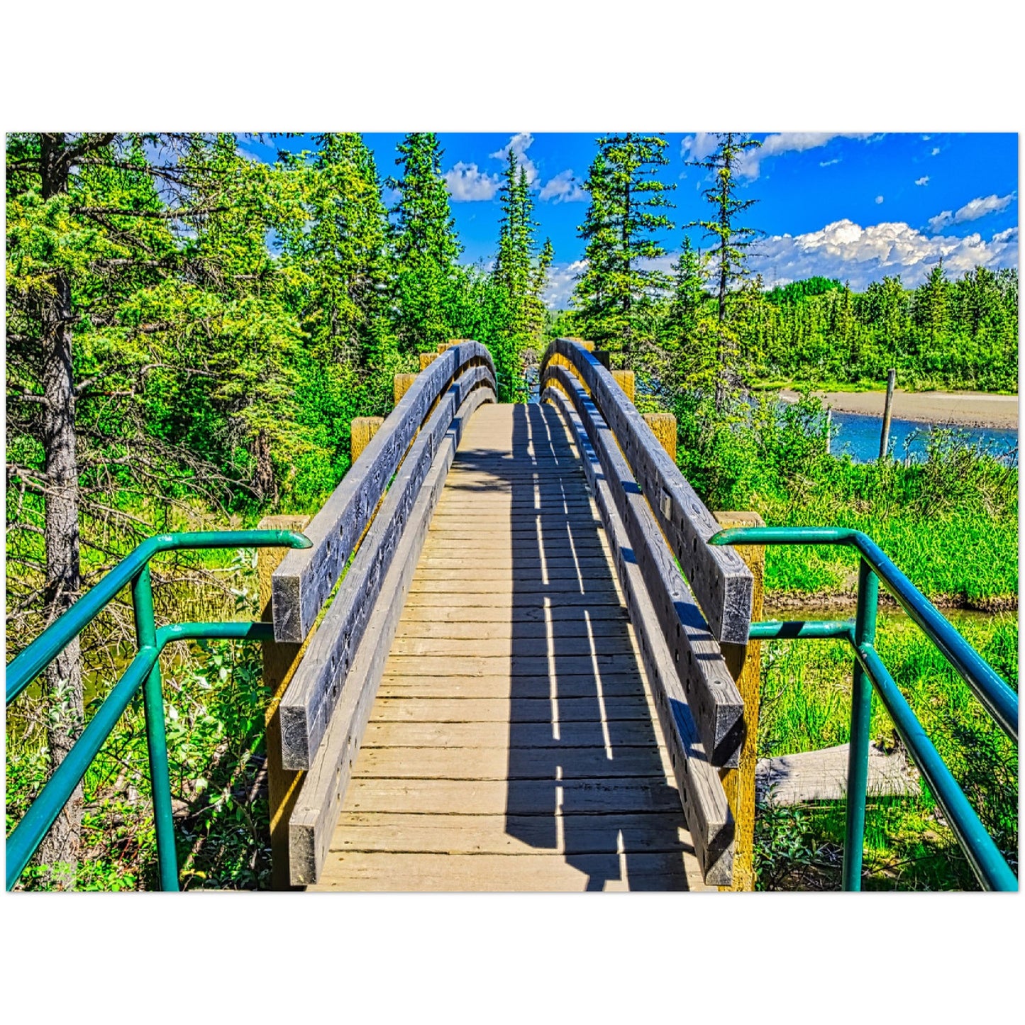 Foam Print - Weaselhead Pedestrian Bridge