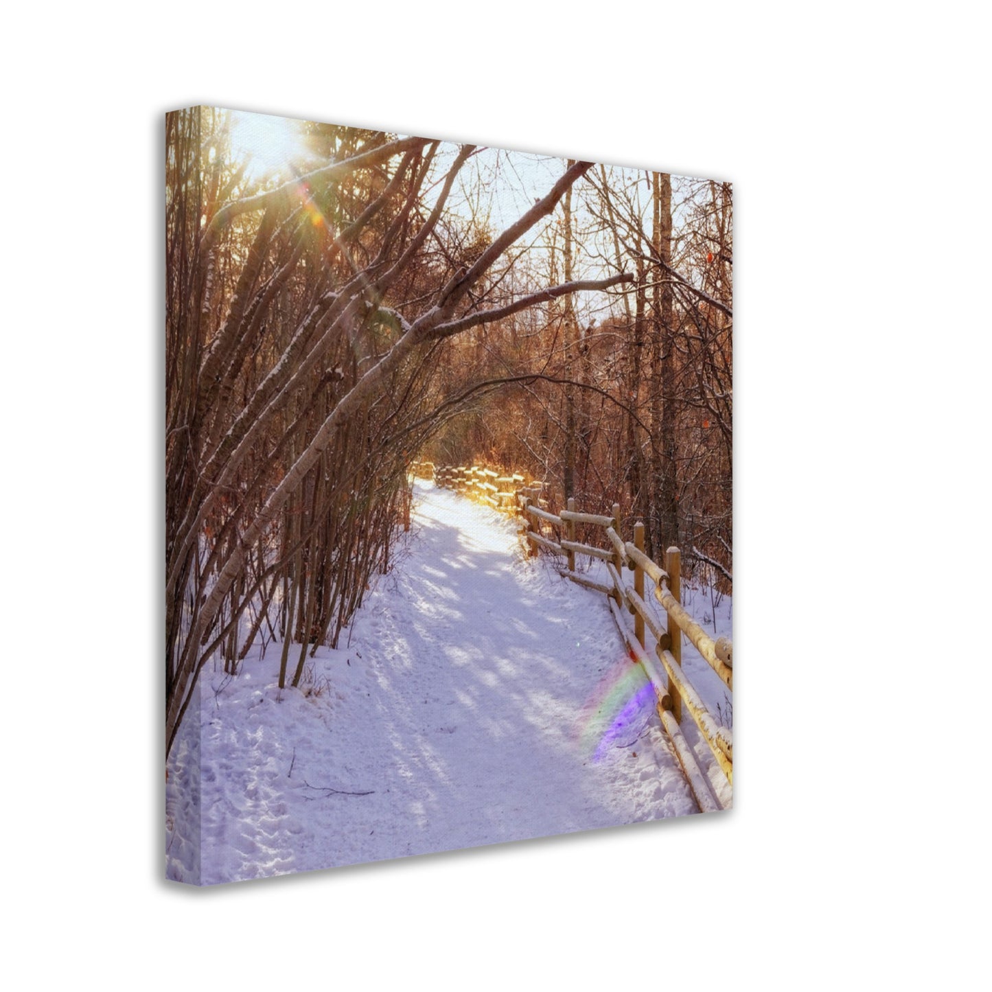 Canvas Print - Riverdale Park Forest Winter