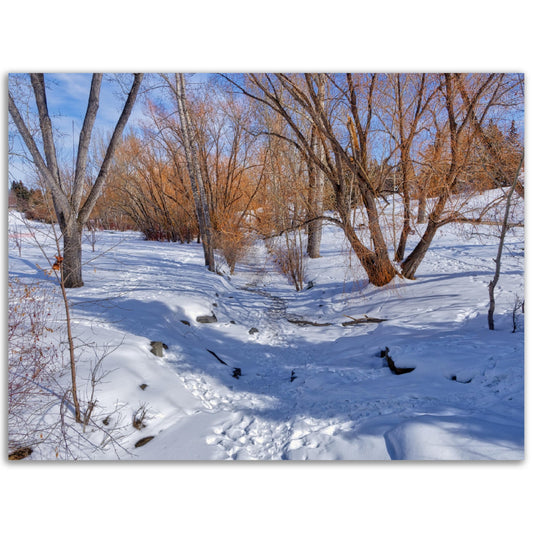 Premium Semi-Glossy Poster Print - Confederation Creek Winter HDR