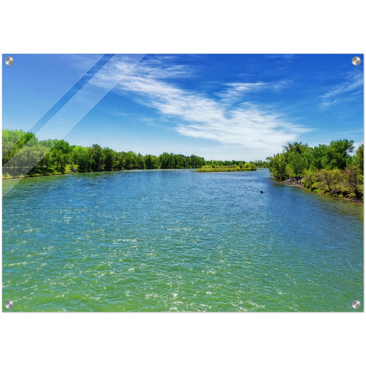 Acrylic Print - Bow River Eric Harvie Bridge Spring