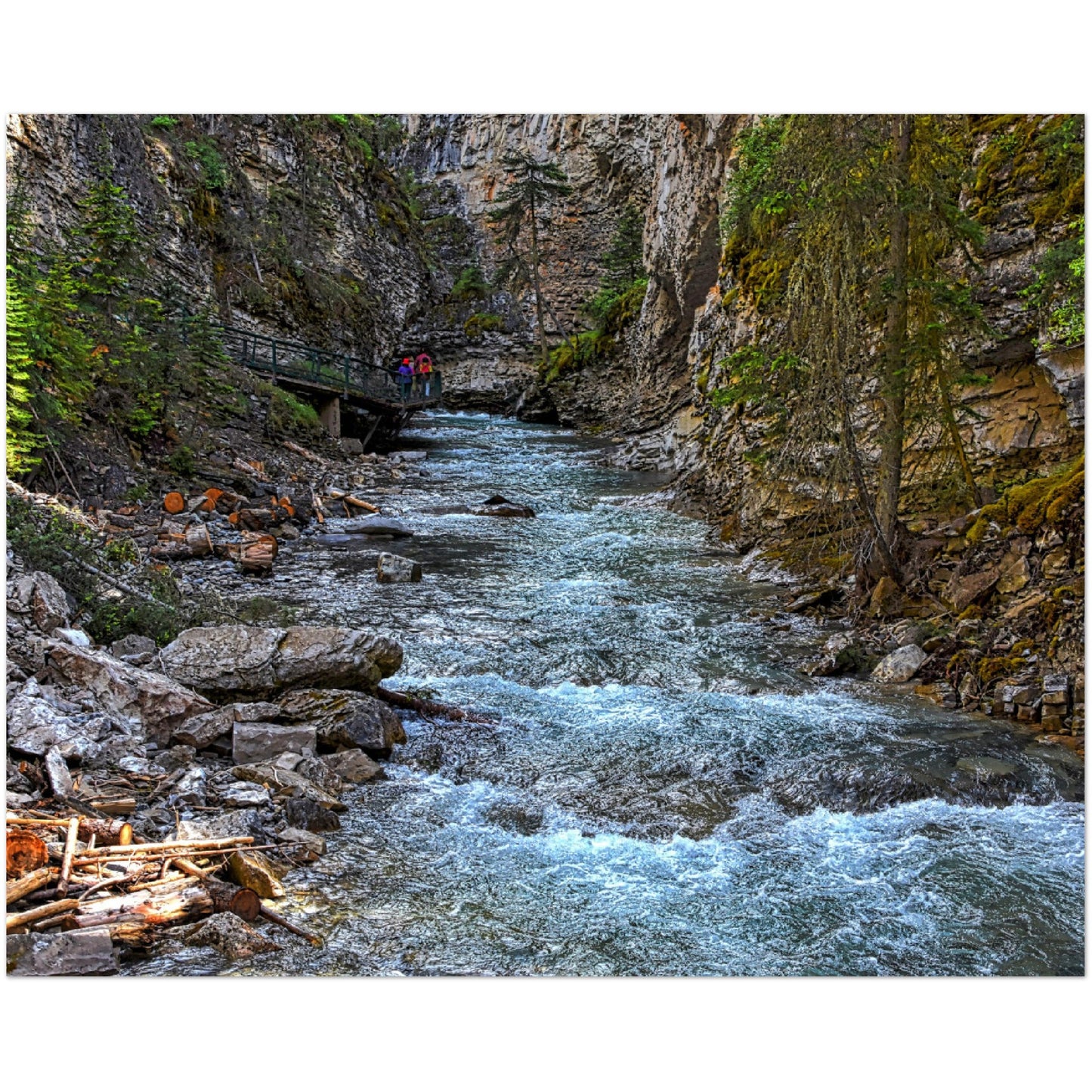 Premium Semi-Glossy Poster Print - Johnson Canyon Johnston Creek