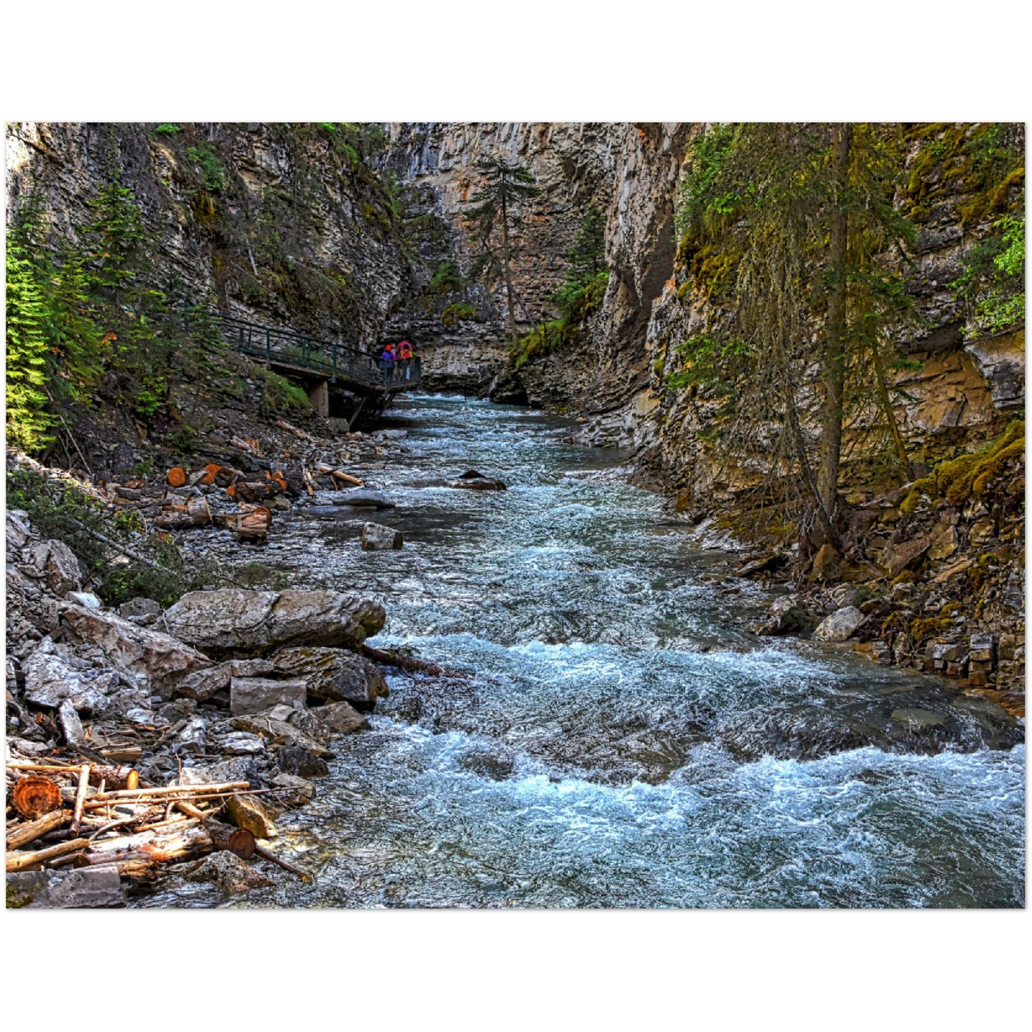 Premium Semi-Glossy Poster Print - Johnson Canyon Johnston Creek