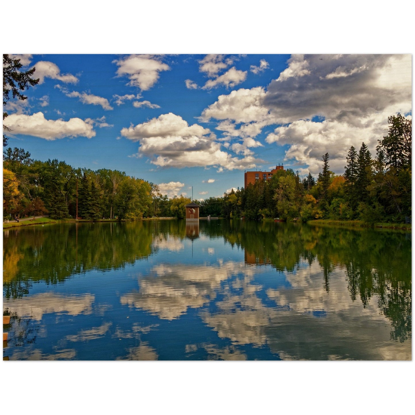 Wood Print - Bowness Park Lagoon Fall