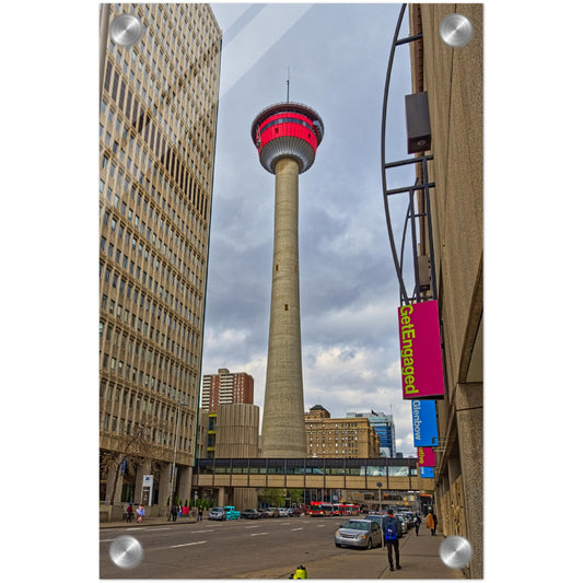 Acrylic Print - Calgary Tower