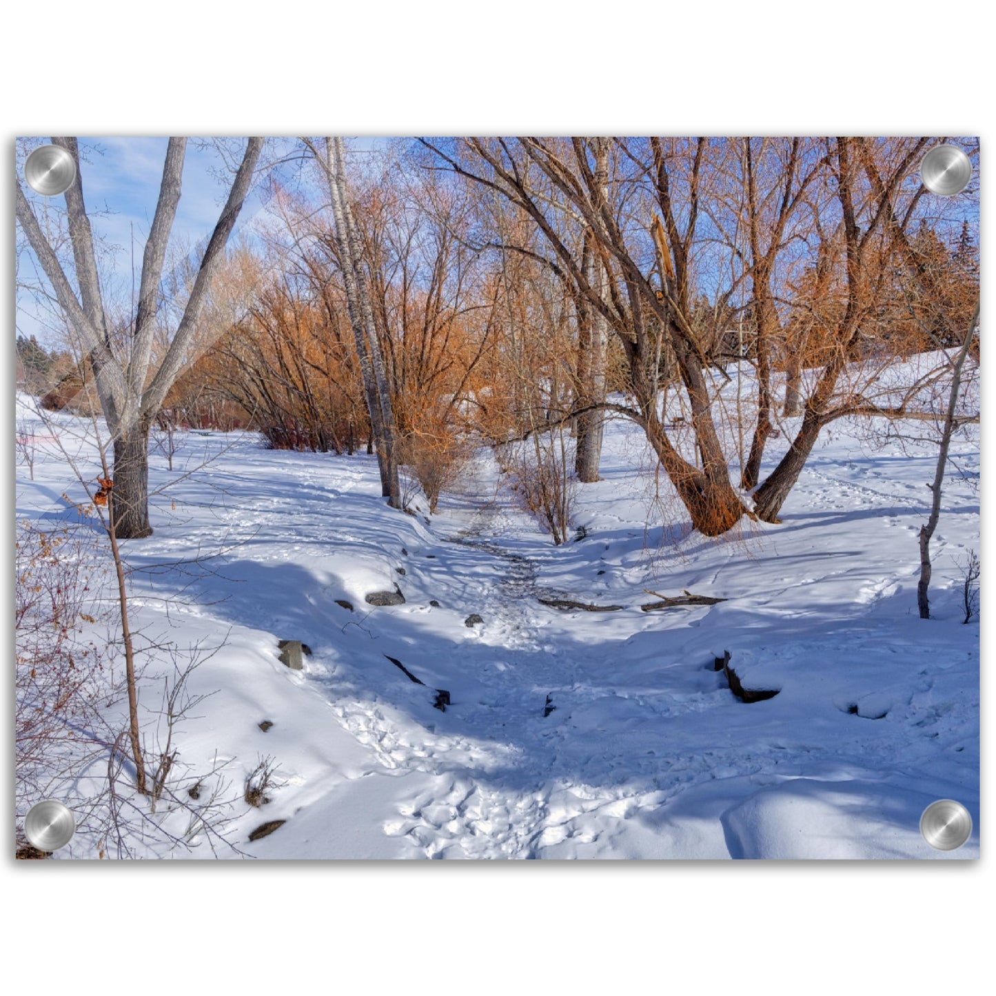 Acrylic Print - Confederation Creek Winter HDR