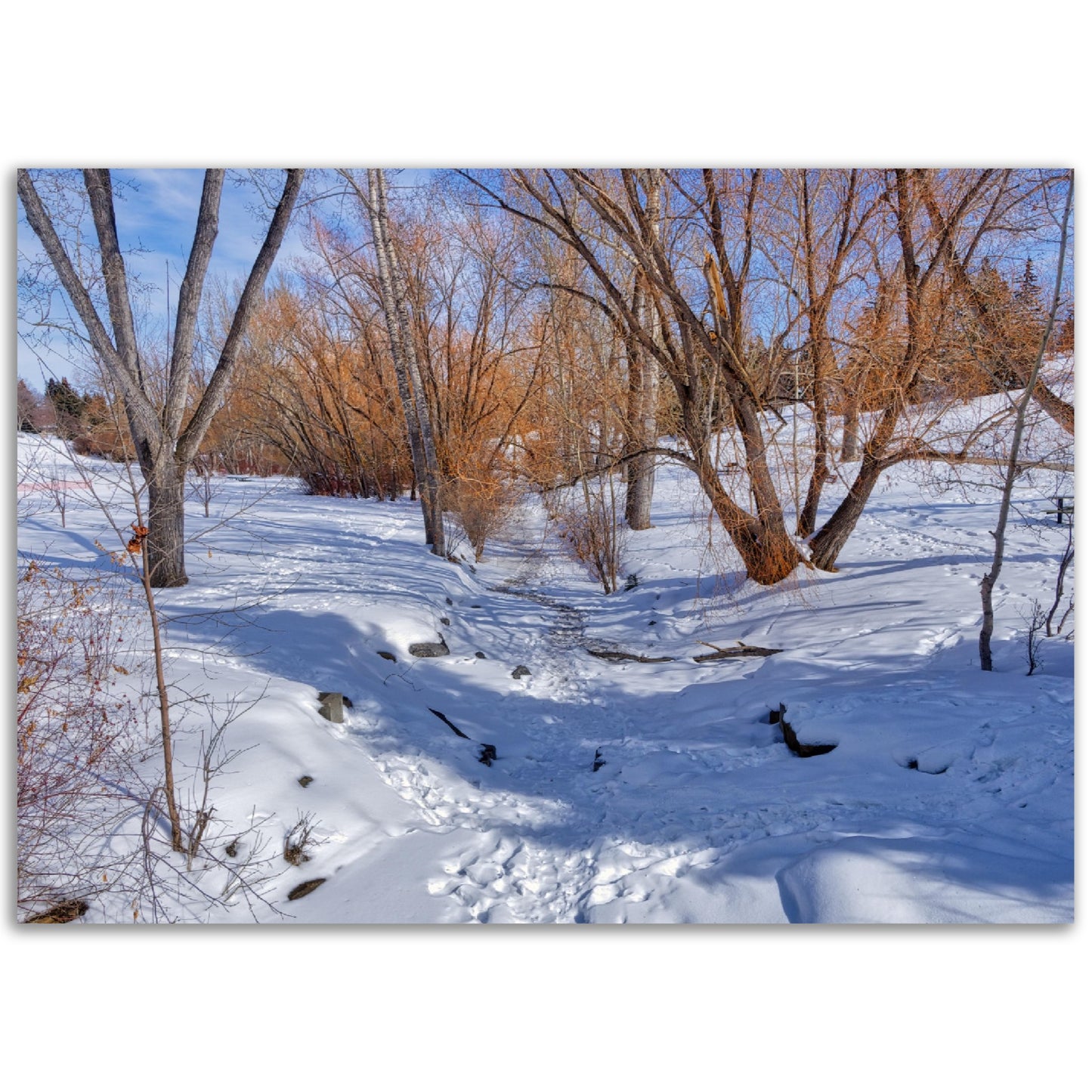 Foam Print - Confederation Creek Winter HDR