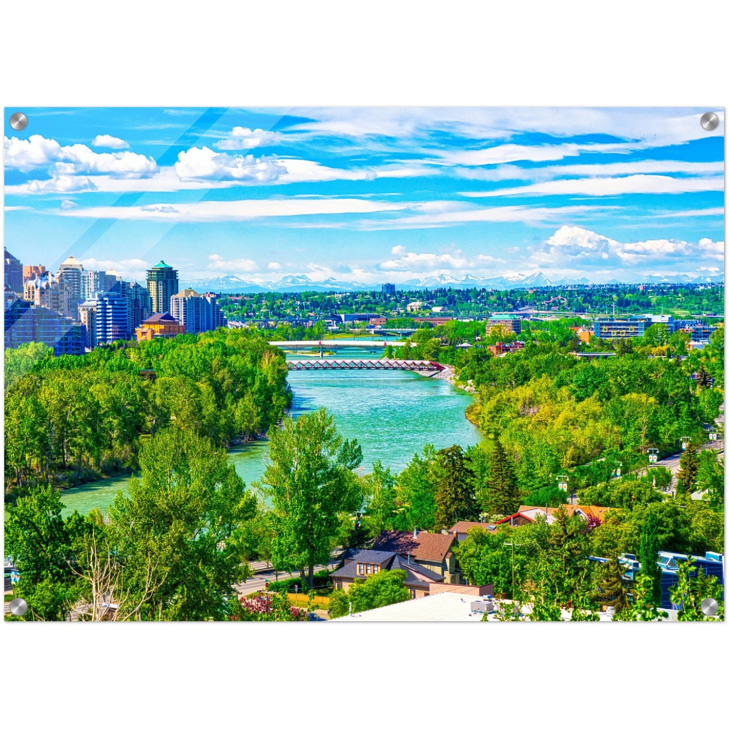 Acrylic Print - McHugh Bluff Bow River Peace Bridge Spring HDR