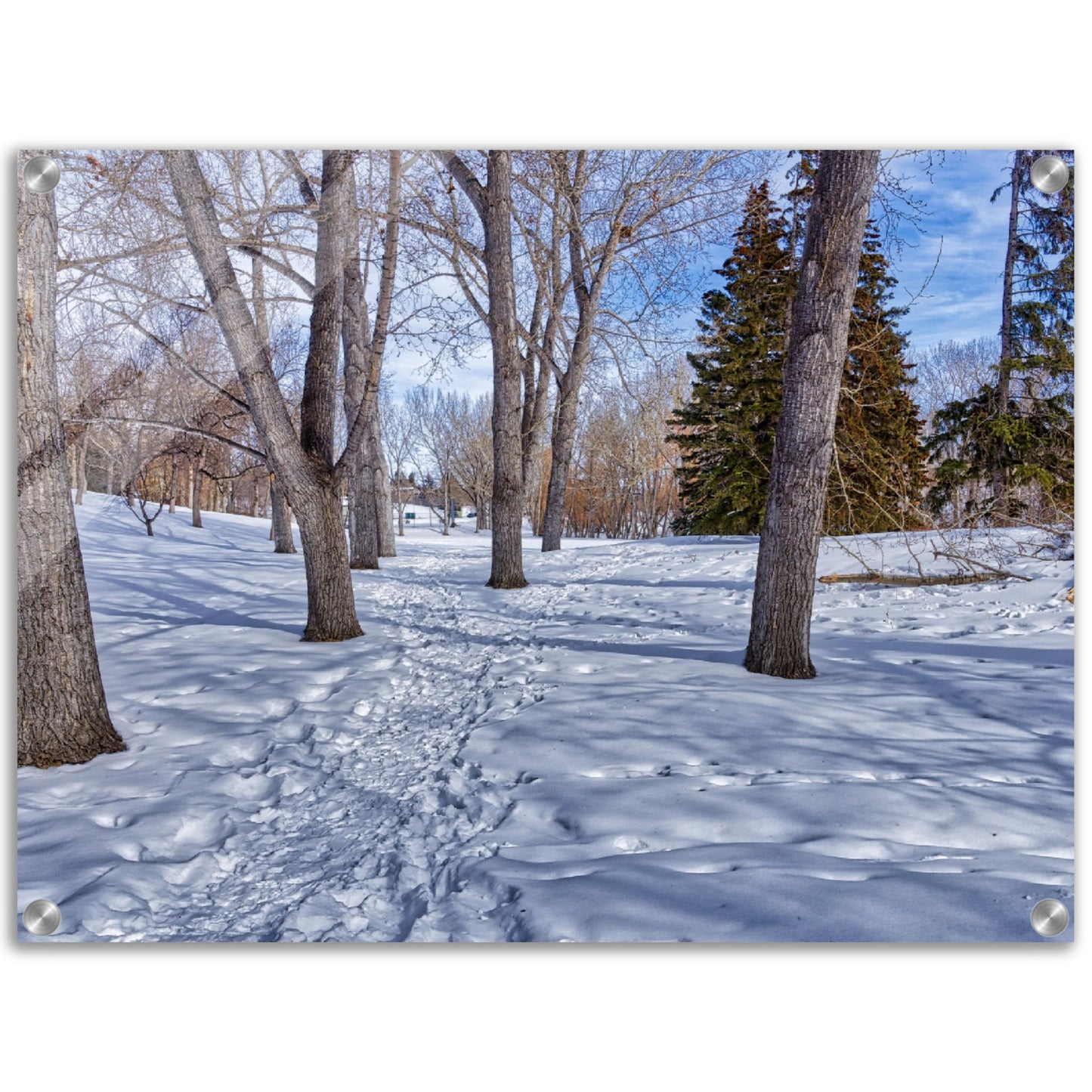 Acrylic Print - Confederation Park Winter HDR