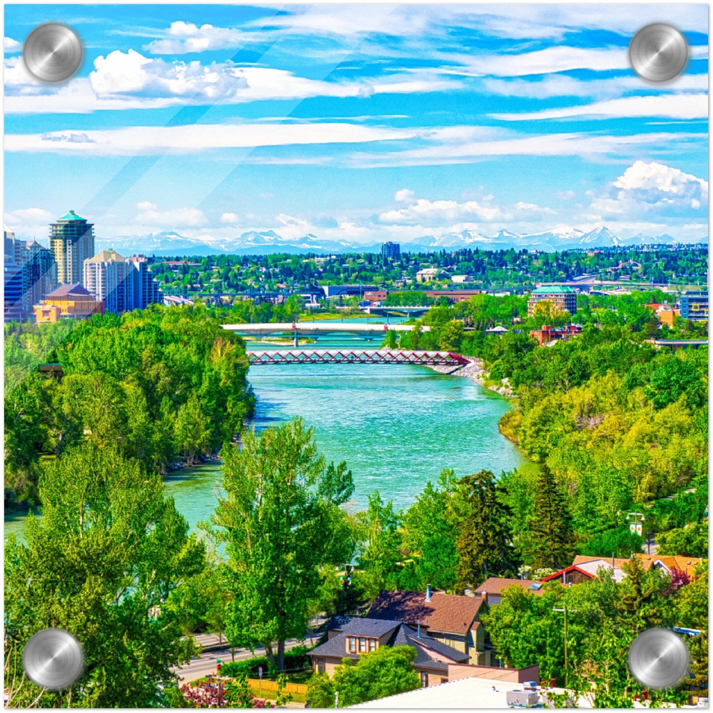 Acrylic Print - McHugh Bluff Bow River Peace Bridge Spring HDR