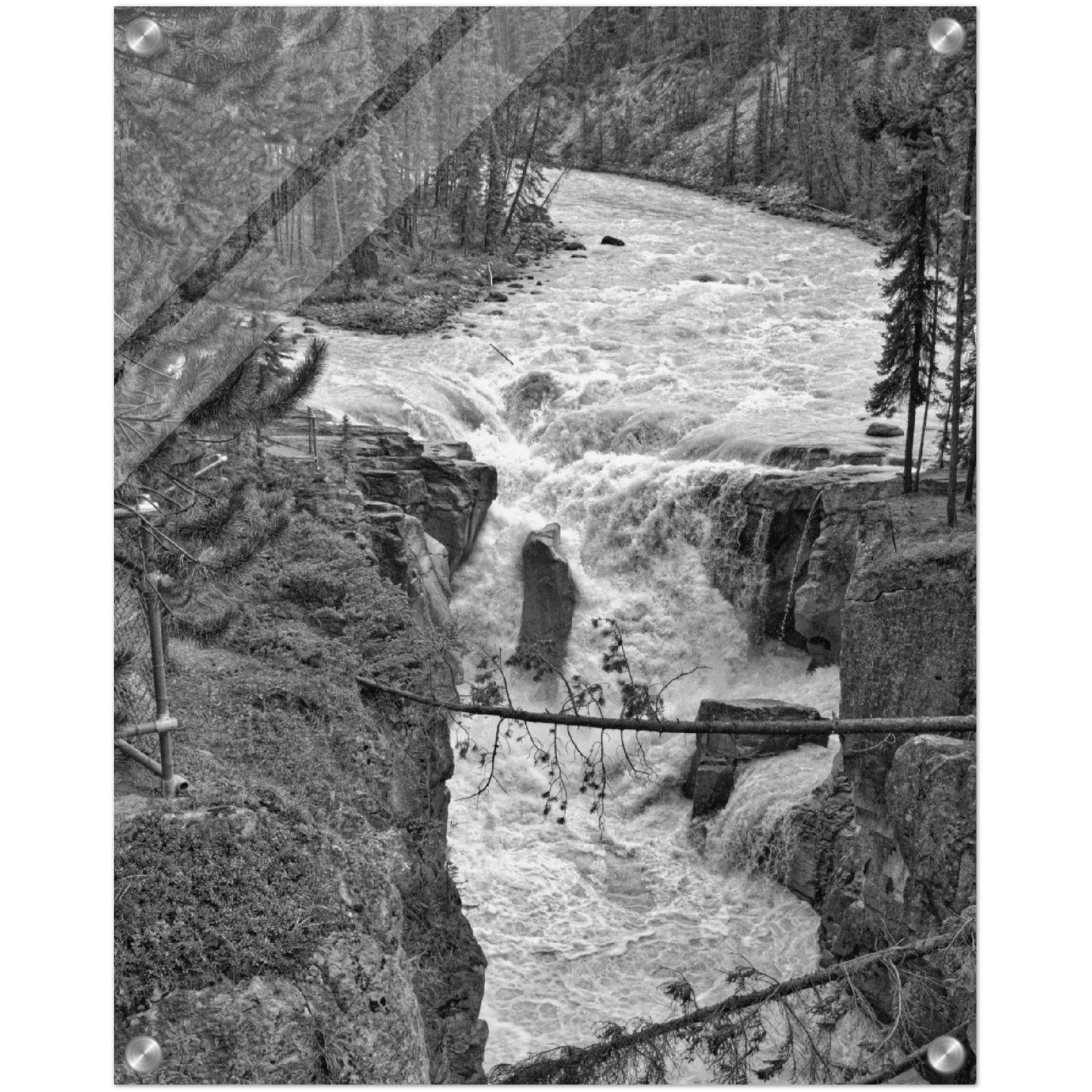 Acrylic Print - Sunwapta Falls Black and White