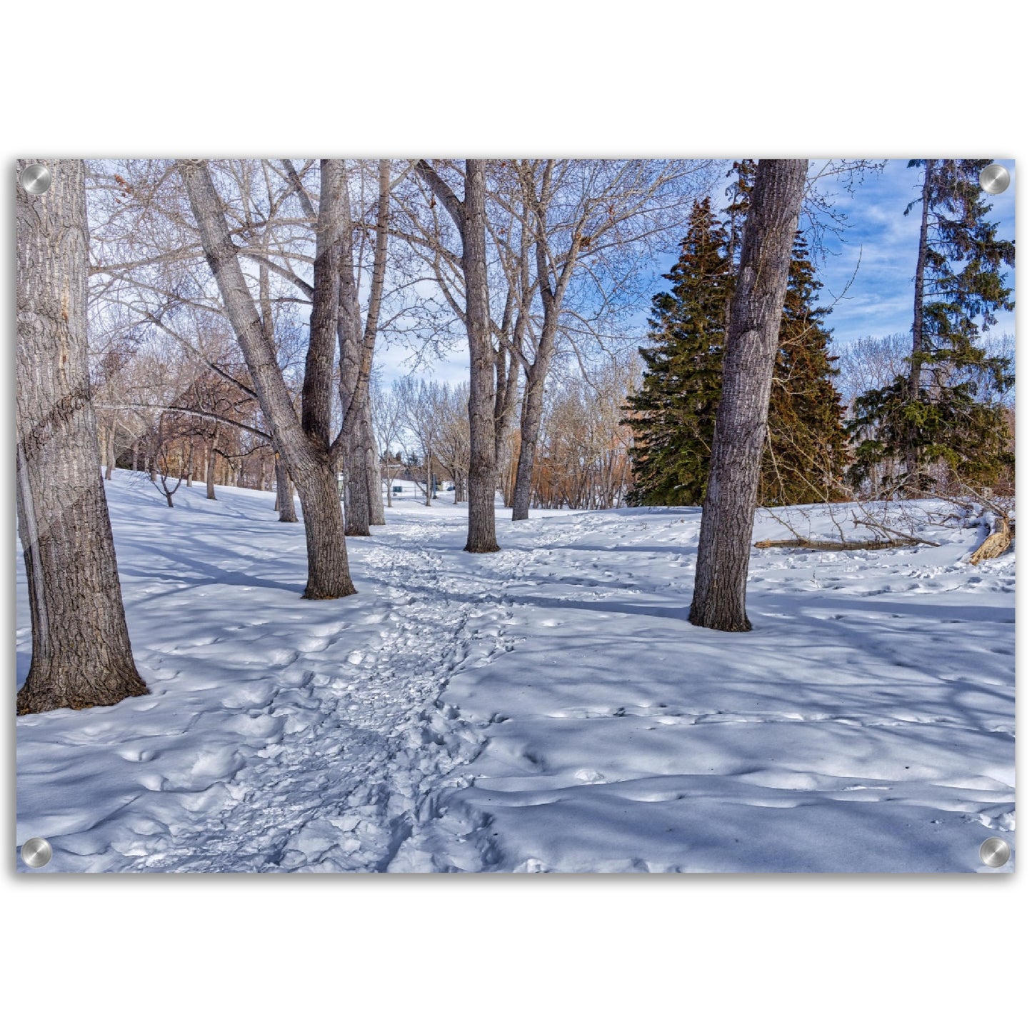 Acrylic Print - Confederation Park Winter HDR