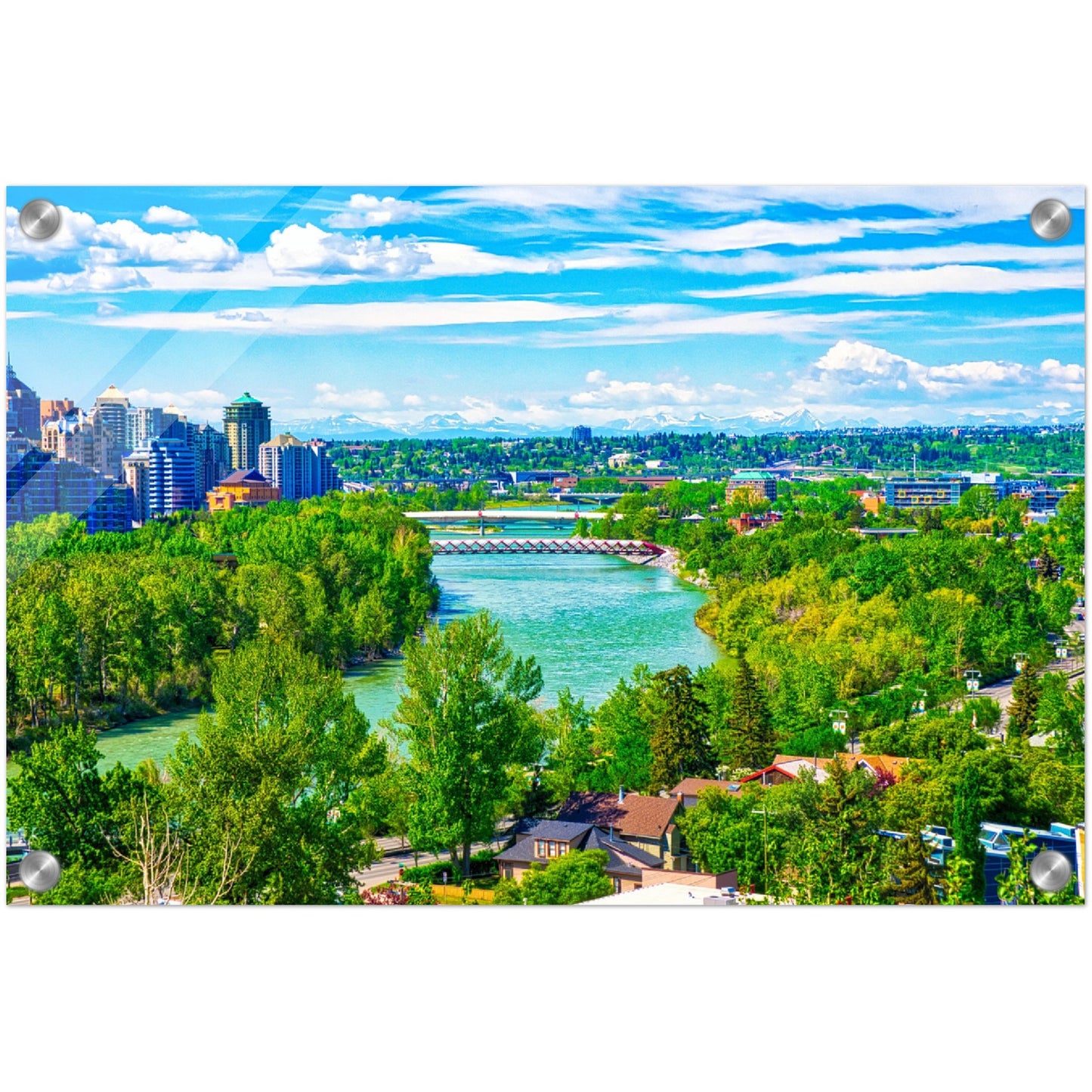 Acrylic Print - McHugh Bluff Bow River Peace Bridge Spring HDR