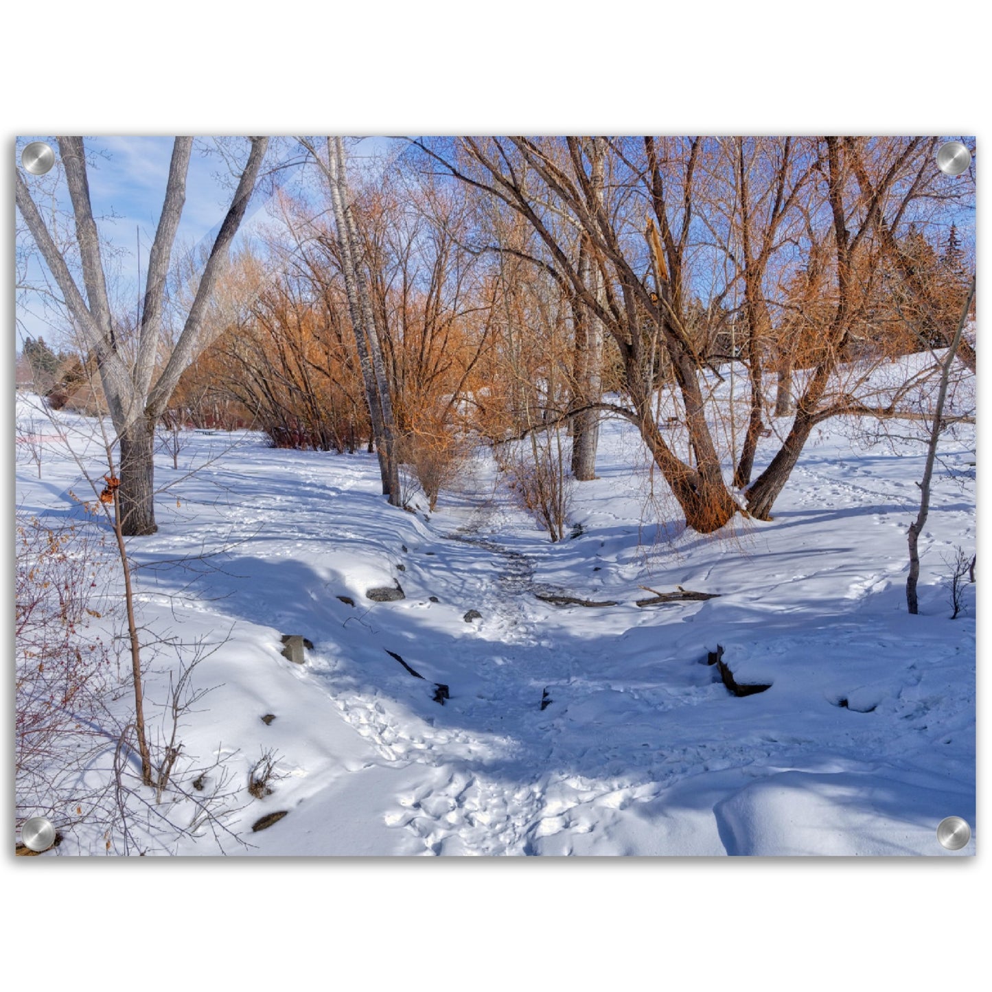 Acrylic Print - Confederation Creek Winter HDR