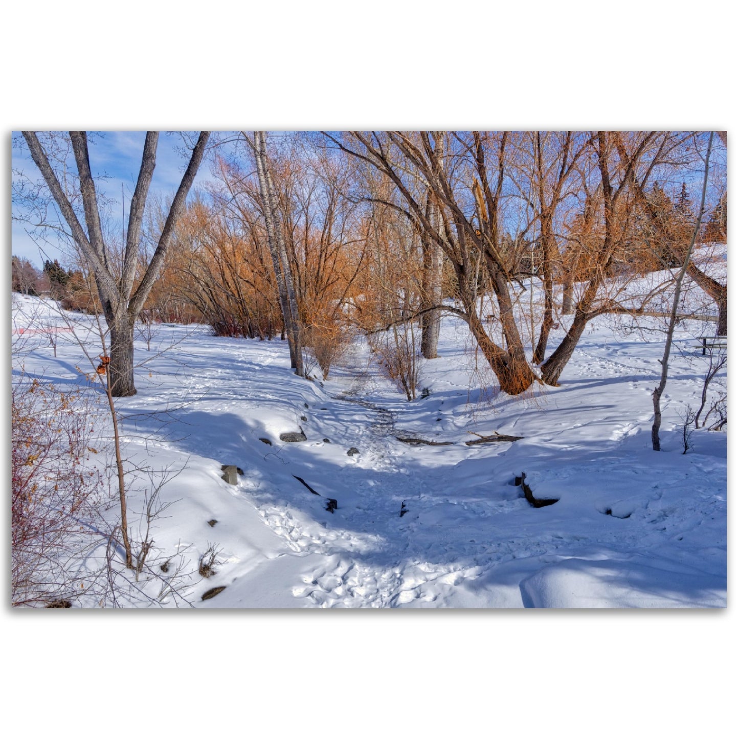 Premium Semi-Glossy Poster Print - Confederation Creek Winter HDR