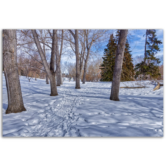 Foam Print - Confederation Park Winter HDR