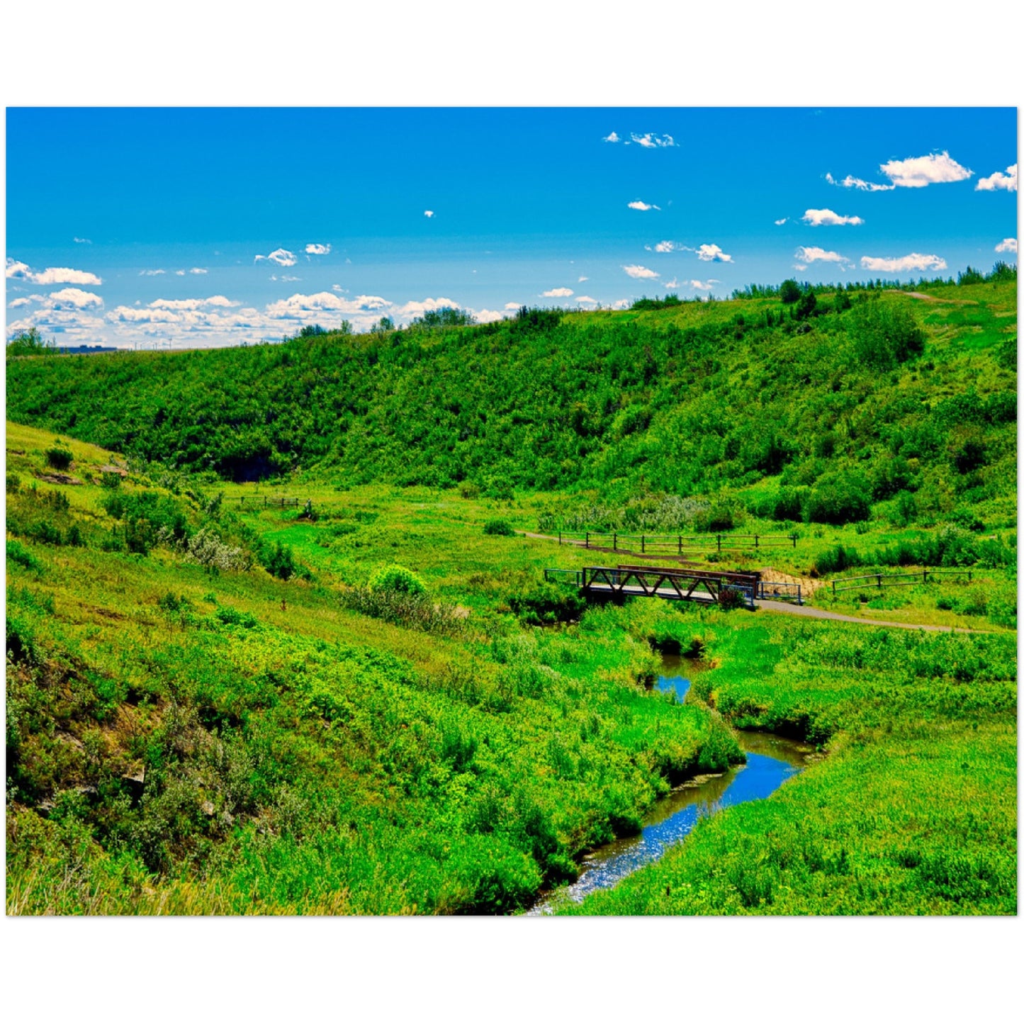 Foam Print - West Nose Creek Park