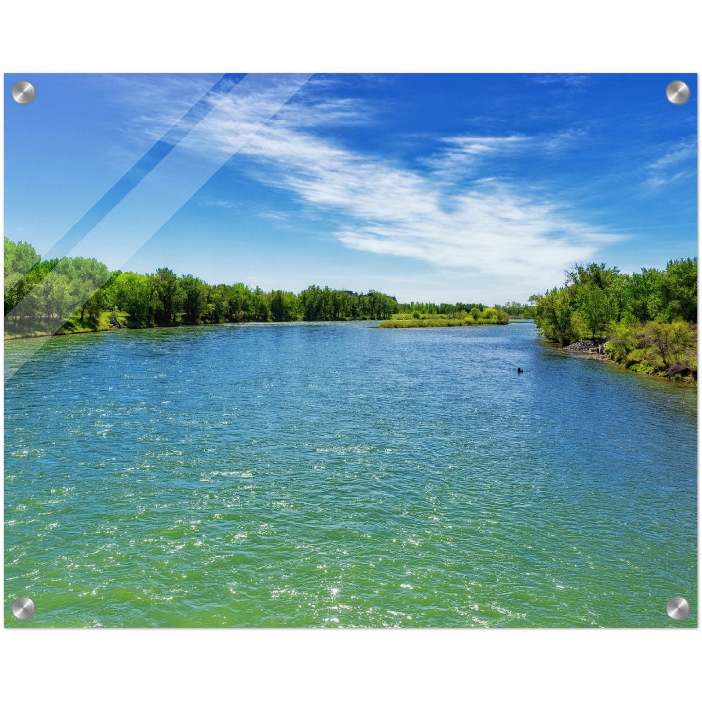 Acrylic Print - Bow River Eric Harvie Bridge Spring