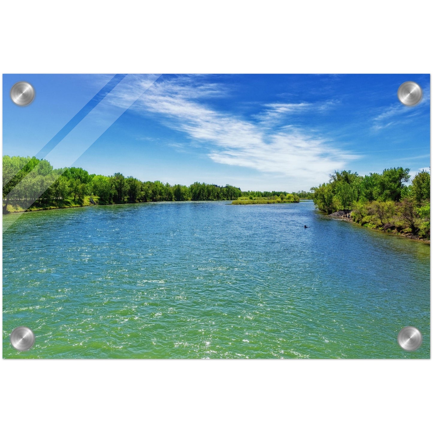 Acrylic Print - Bow River Eric Harvie Bridge Spring