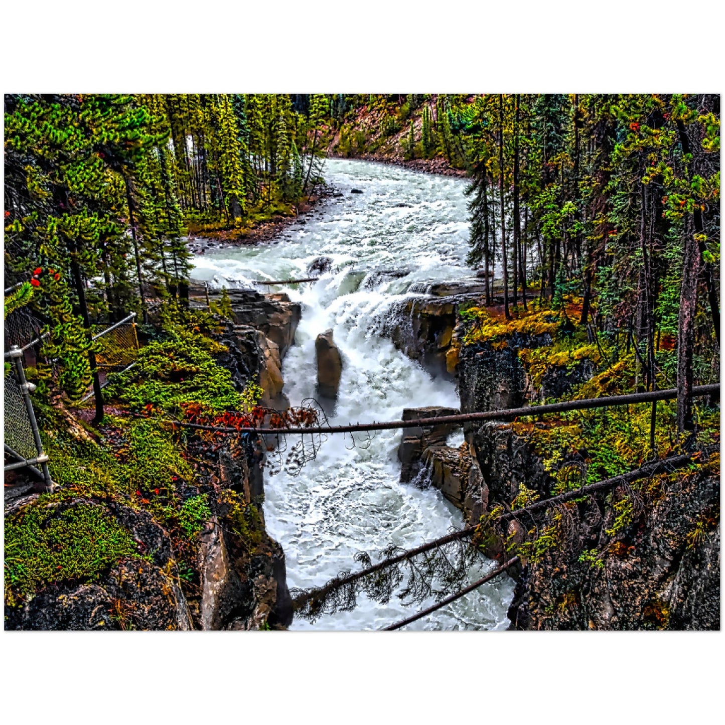 Premium Semi-Glossy Poster Print - Sunwapta Falls HDR