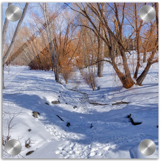 Acrylic Print - Confederation Creek Winter HDR