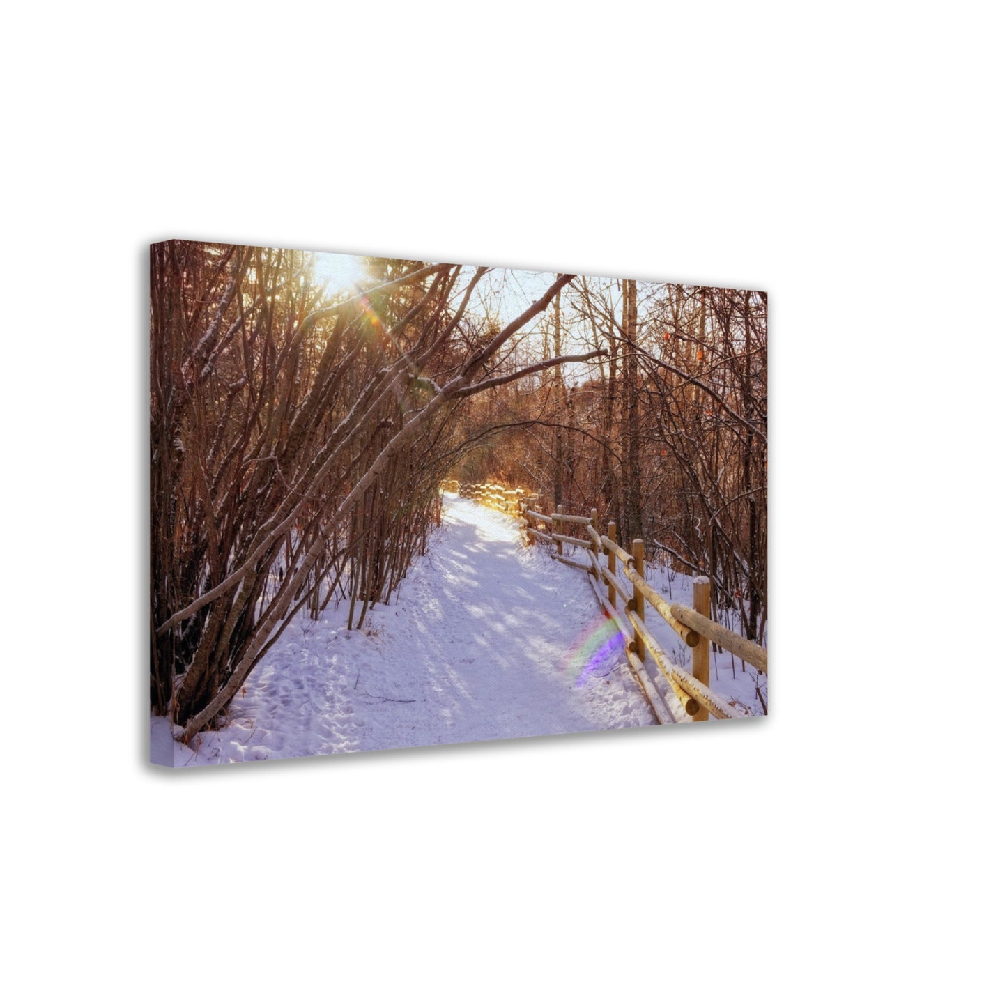 Canvas Print - Riverdale Park Forest Winter