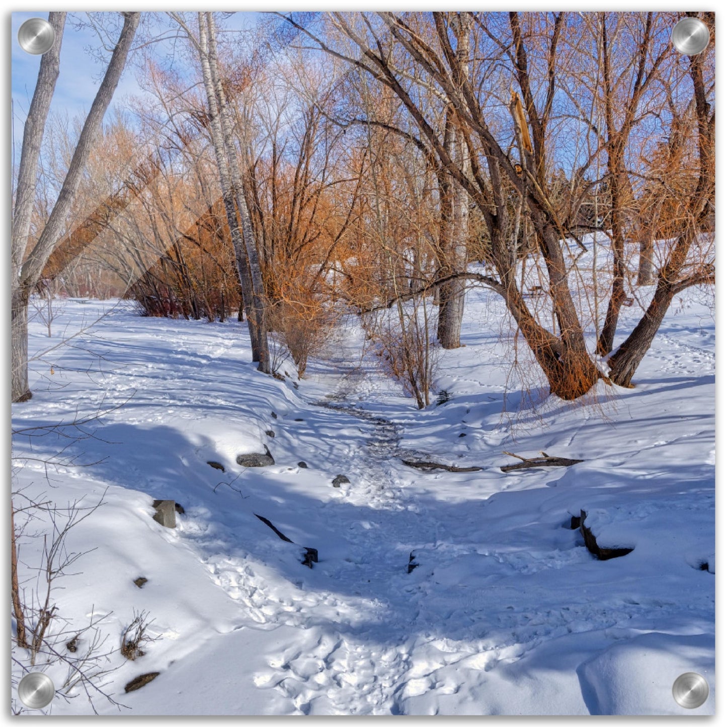 Acrylic Print - Confederation Creek Winter HDR
