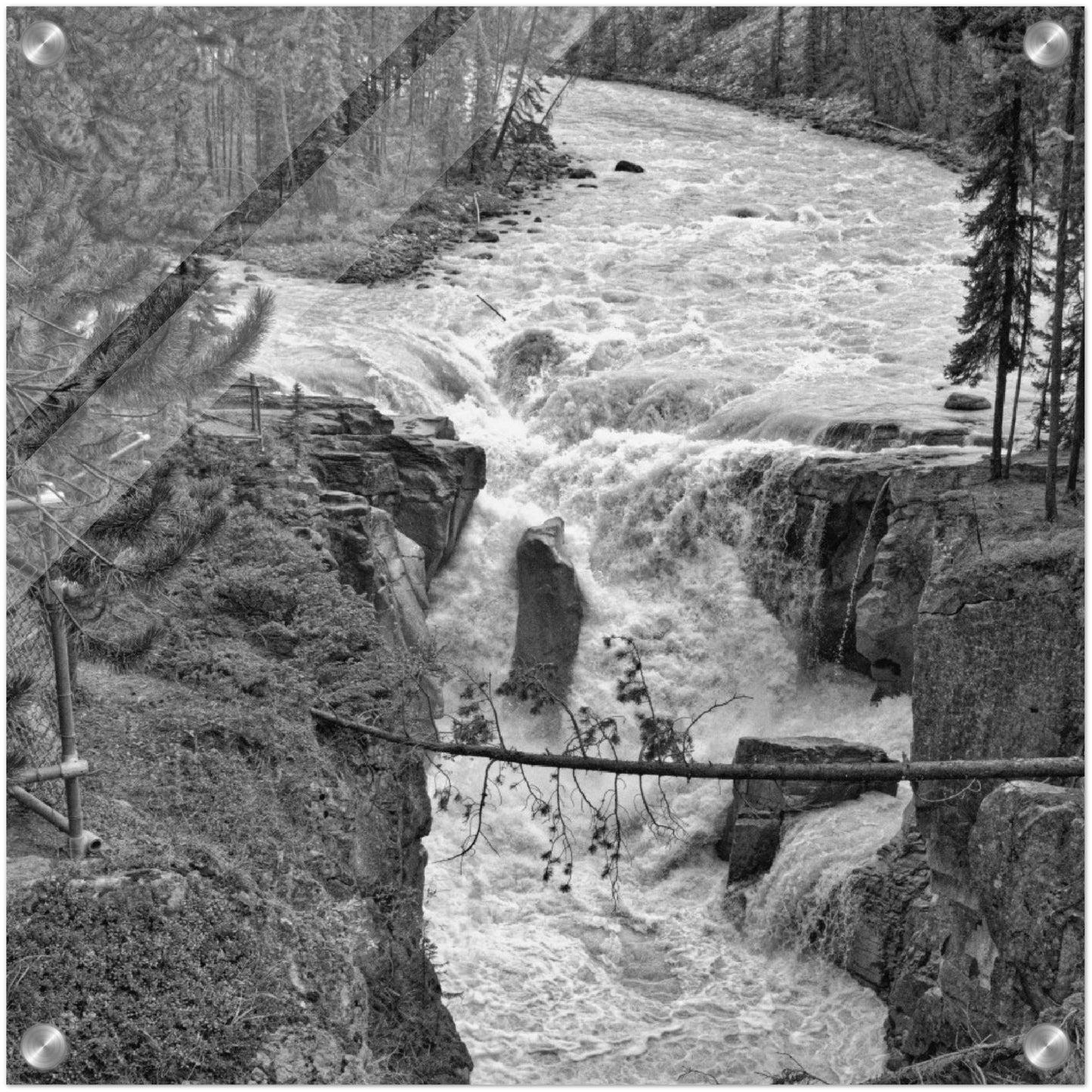 Acrylic Print - Sunwapta Falls Black and White