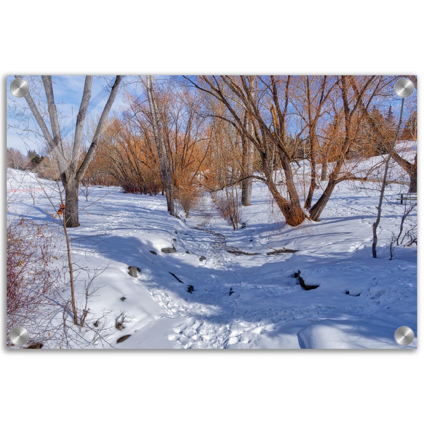Acrylic Print - Confederation Creek Winter HDR