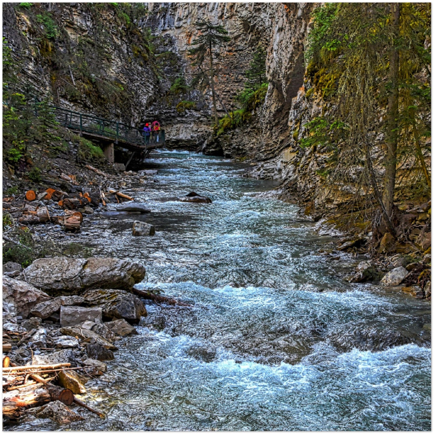 Premium Semi-Glossy Poster Print - Johnson Canyon Johnston Creek