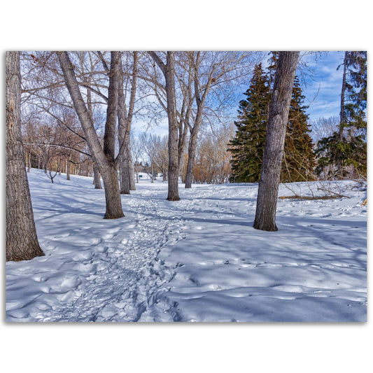 Premium Semi-Glossy Poster Print - Confederation Park Winter HDR
