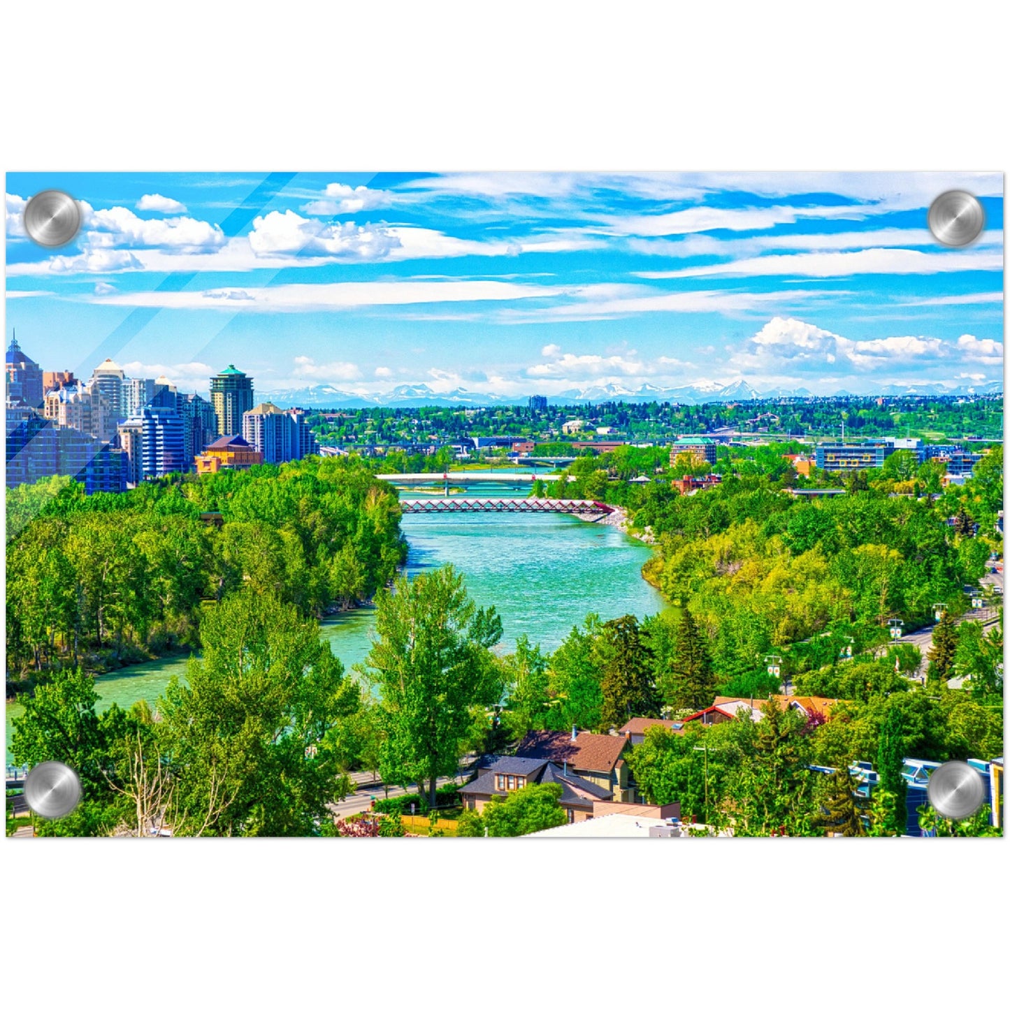 Acrylic Print - McHugh Bluff Bow River Peace Bridge Spring HDR