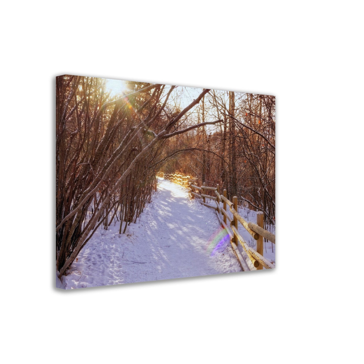 Canvas Print - Riverdale Park Forest Winter