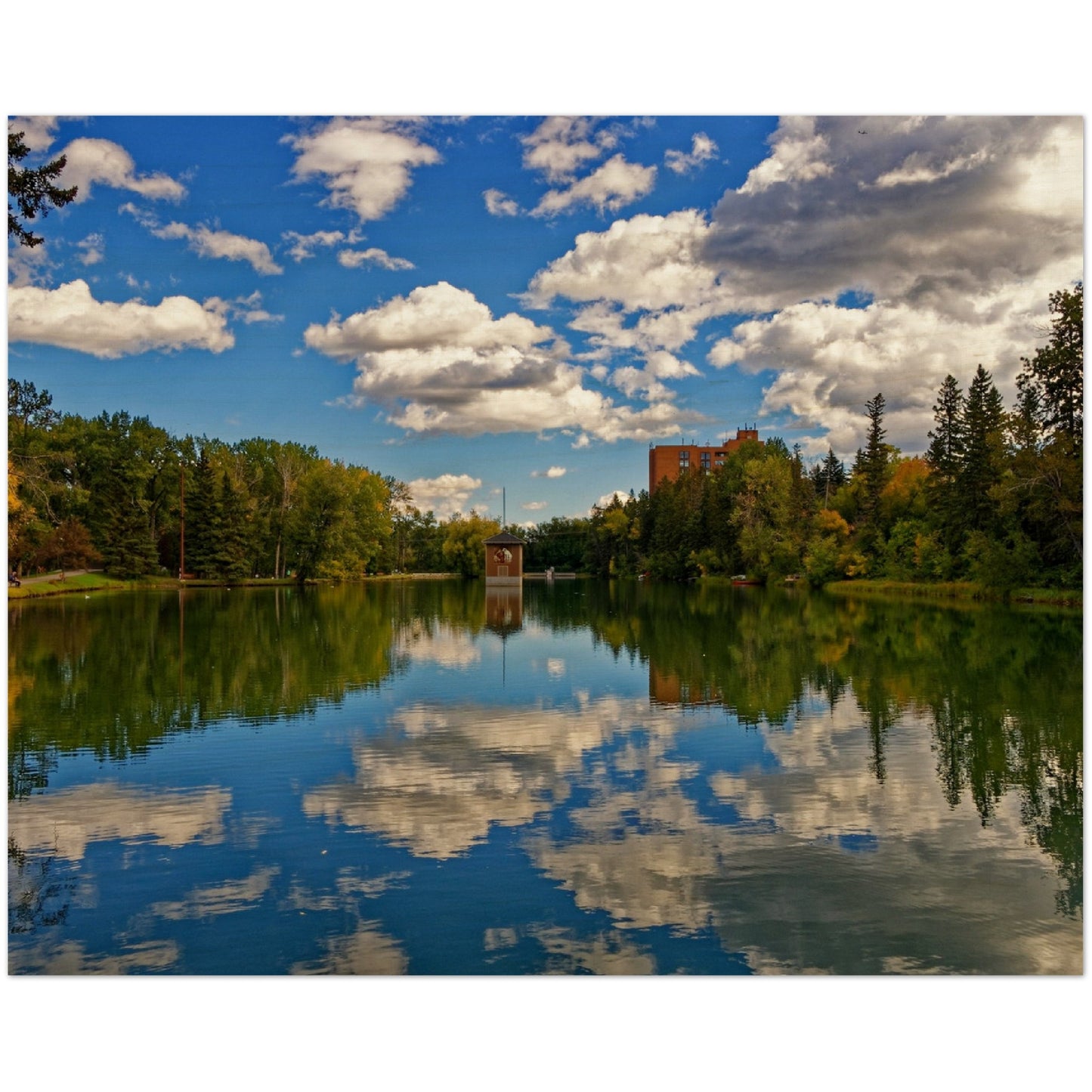 Wood Print - Bowness Park Lagoon Fall