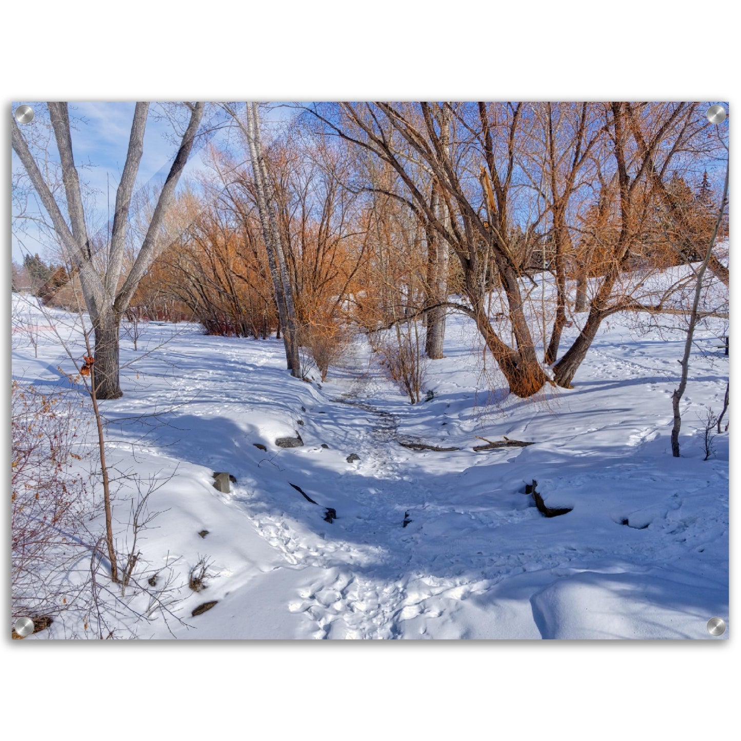 Acrylic Print - Confederation Creek Winter HDR