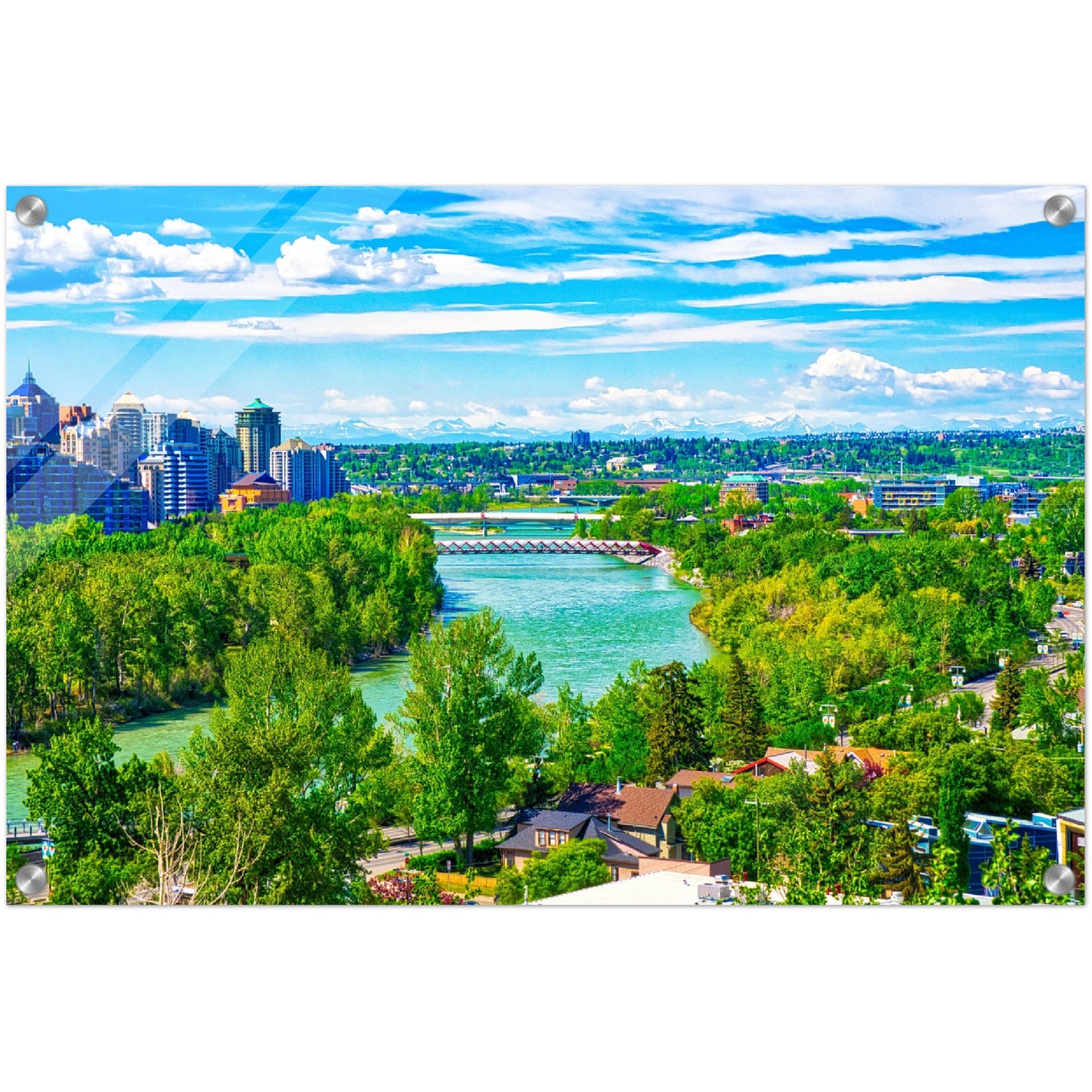 Acrylic Print - McHugh Bluff Bow River Peace Bridge Spring HDR