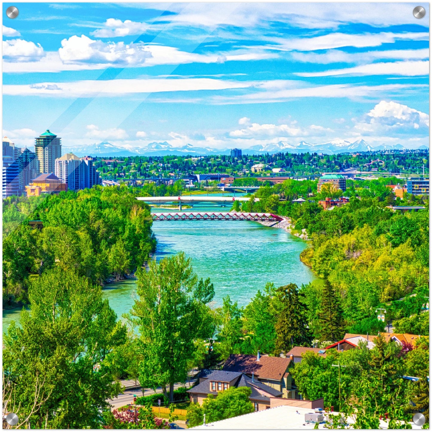Acrylic Print - McHugh Bluff Bow River Peace Bridge Spring HDR