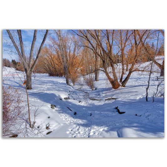 Foam Print - Confederation Creek Winter HDR