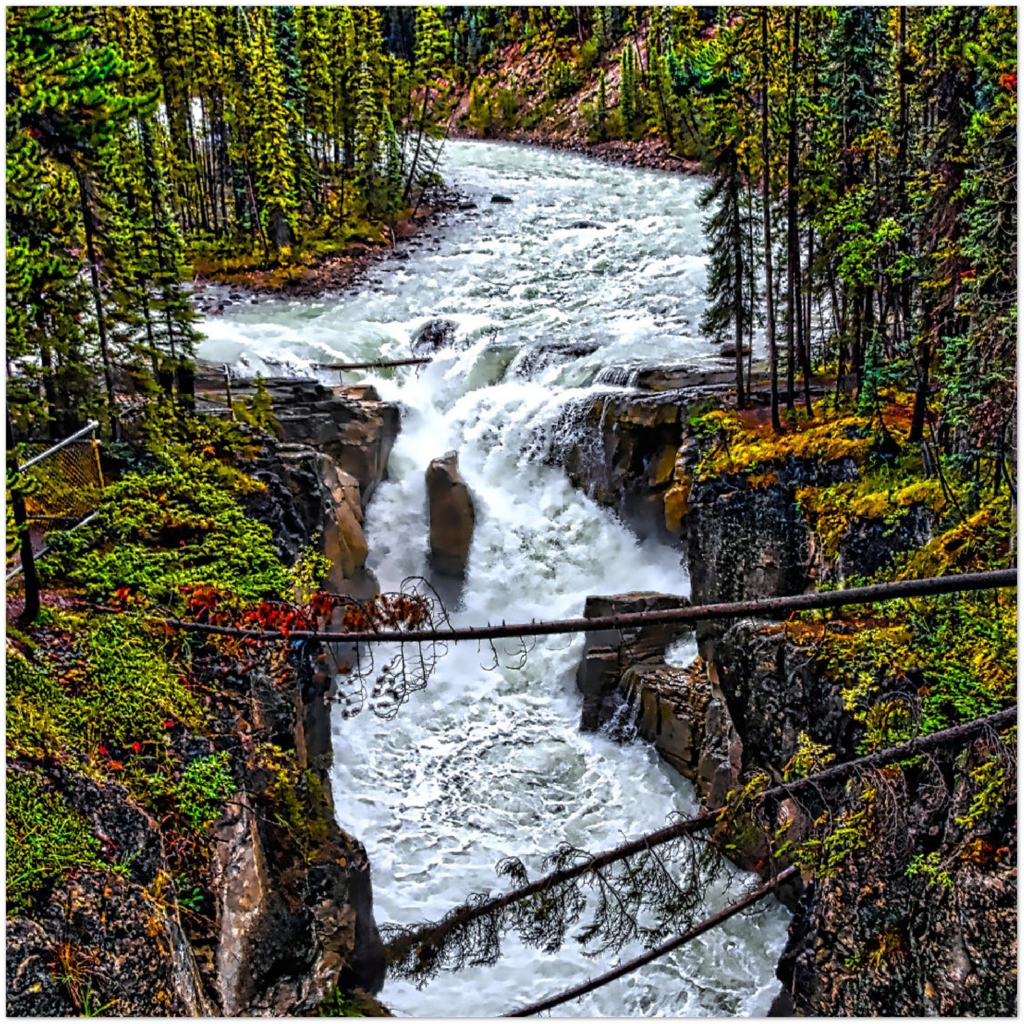 Premium Semi-Glossy Poster Print - Sunwapta Falls HDR