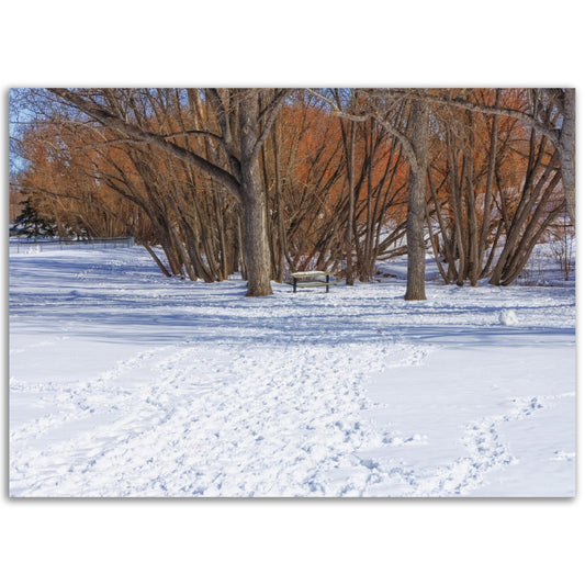 Premium Semi-Glossy Poster Print - Confederation Park Winter