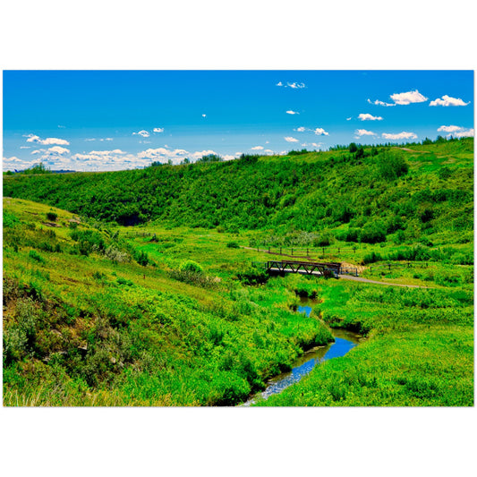 Foam Print - West Nose Creek Park
