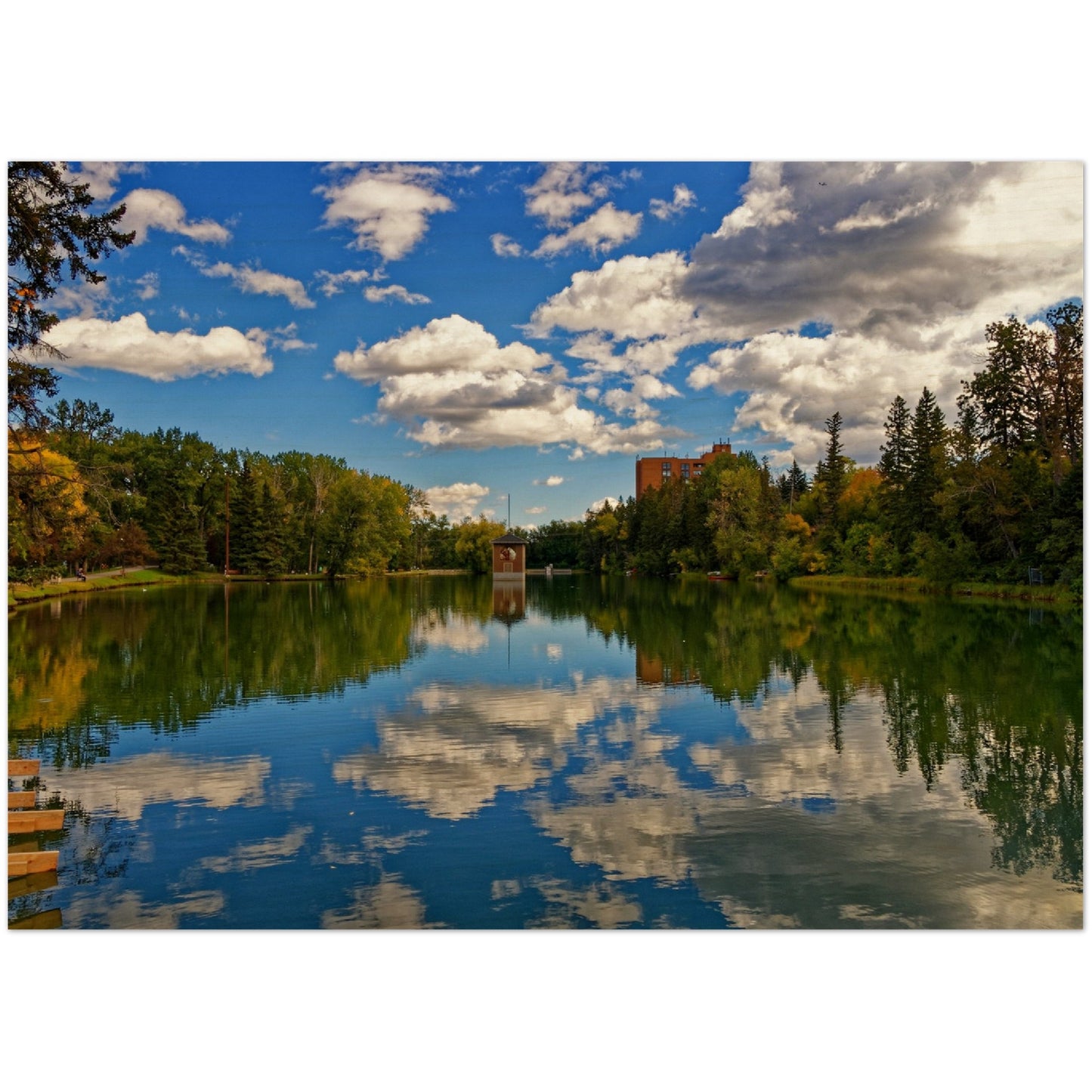 Wood Print - Bowness Park Lagoon Fall