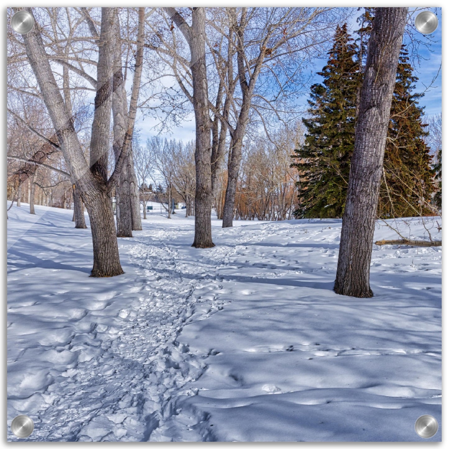 Acrylic Print - Confederation Park Winter HDR