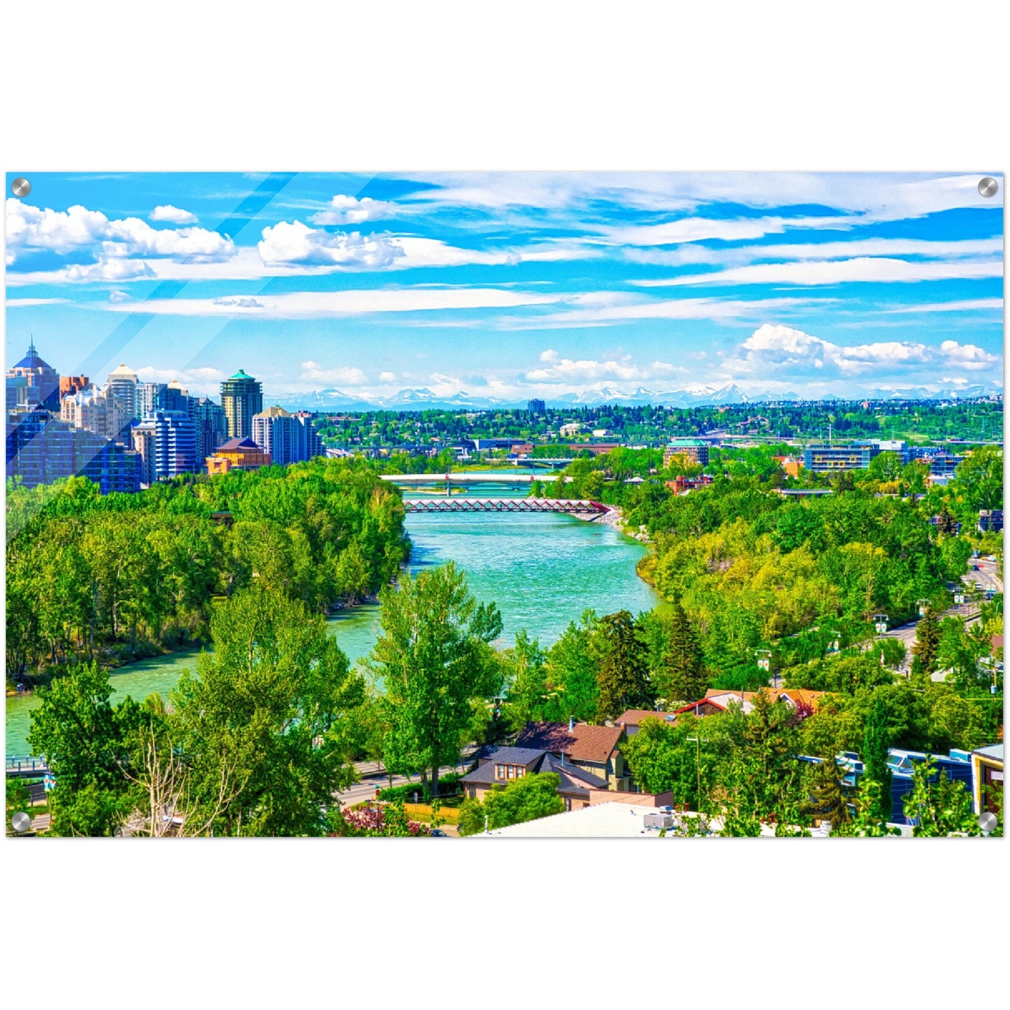 Acrylic Print - McHugh Bluff Bow River Peace Bridge Spring HDR